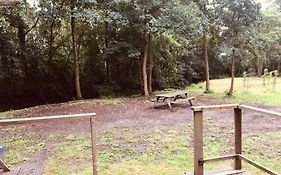 Basic Lodge In Nature