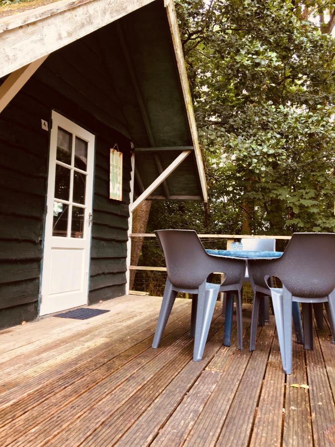 Basic Lodge In Nature Schagerbrug Extérieur photo