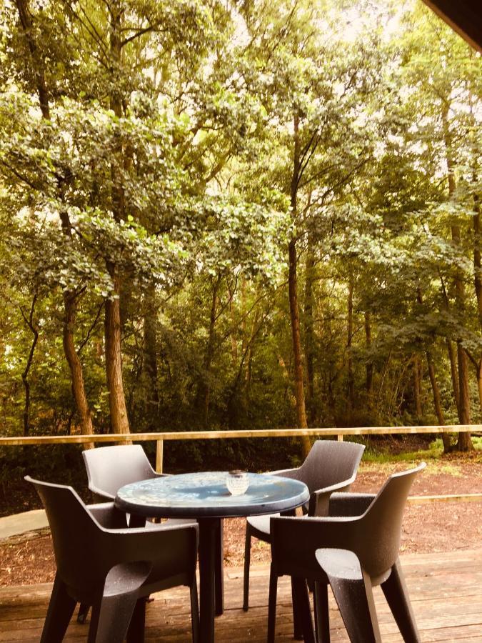 Basic Lodge In Nature Schagerbrug Extérieur photo